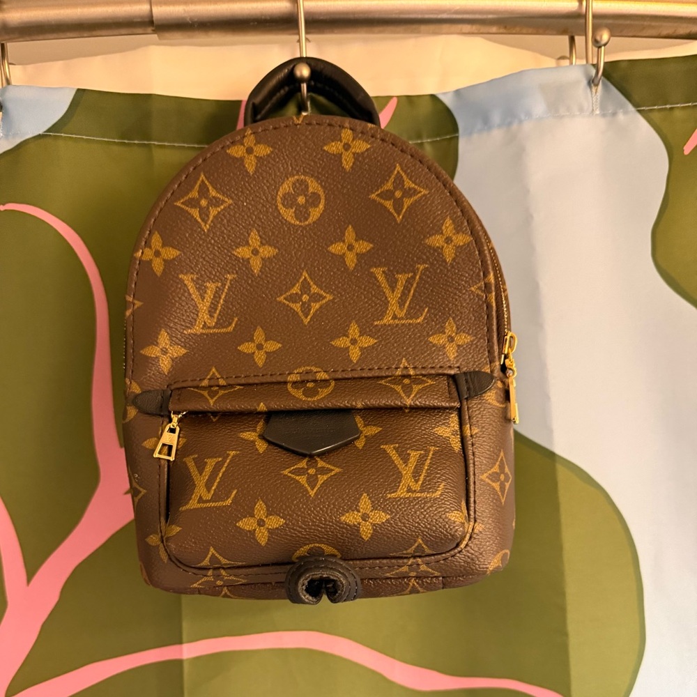 Louis Vuitton Palm Springs Mini